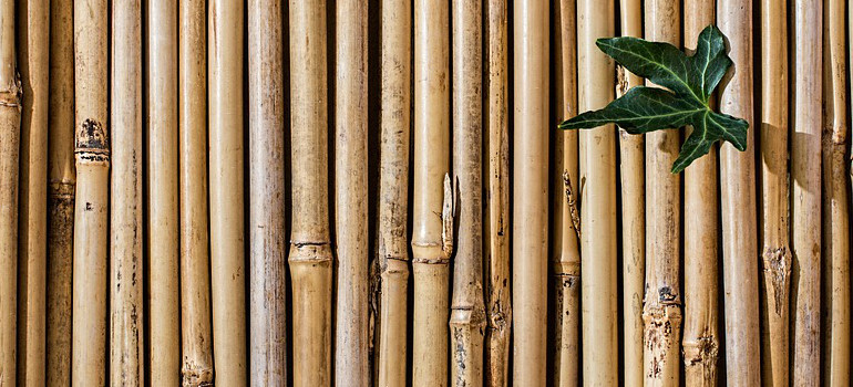 how to incorporate bamboo into your home